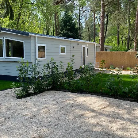 Chalet In De Veluwse Bossen Hoenderloo