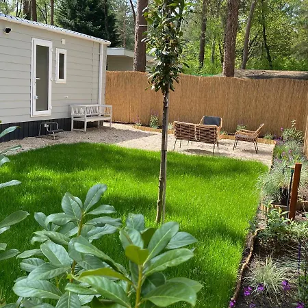 In De Veluwse Bossen