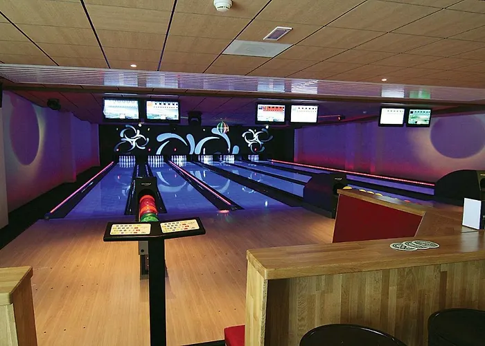 In De Veluwse Bossen