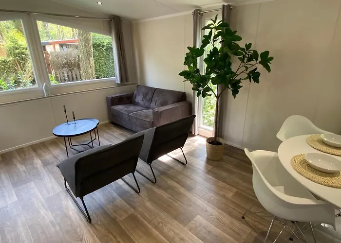 In De Veluwse Bossen *