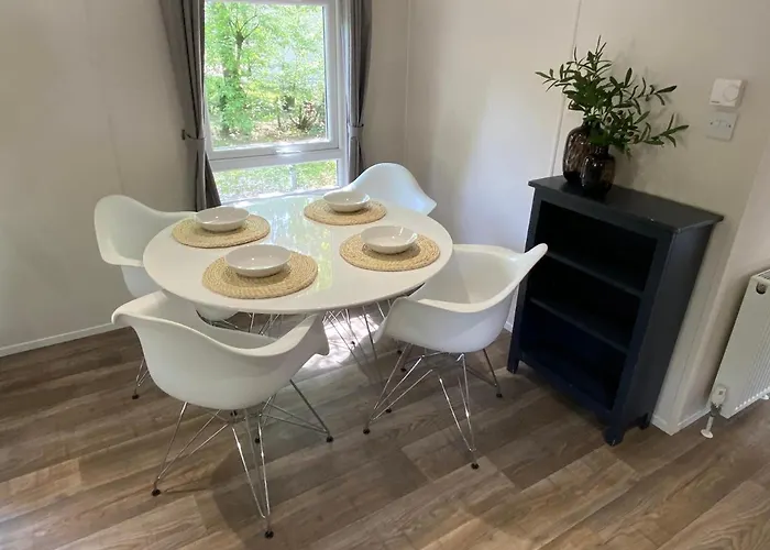 In De Veluwse Bossen *