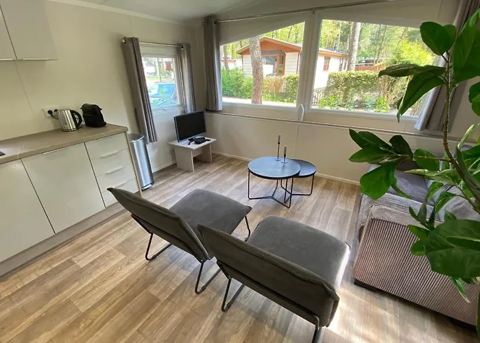 In De Veluwse Bossen