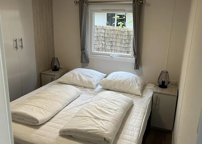 In De Veluwse Bossen *