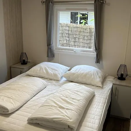 In De Veluwse Bossen *